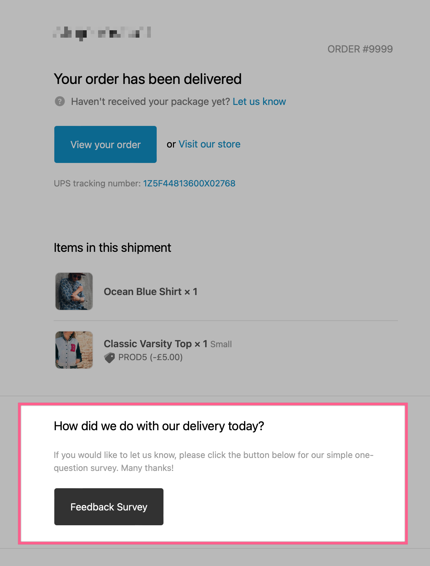 delivery_email_survey_section.png